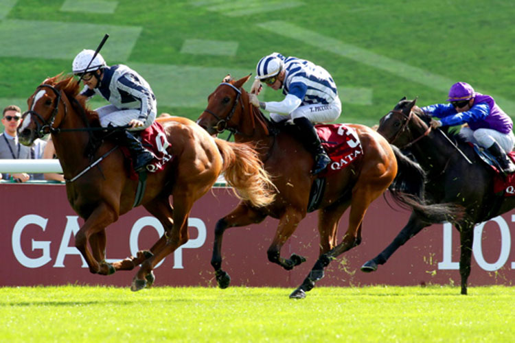 Albigna winning the QATAR PRIX MARCEL BOUSSAC - CRITERIUM DES POULICHES