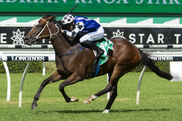 Aliferous winning the Tab Adrian Knox Stakes