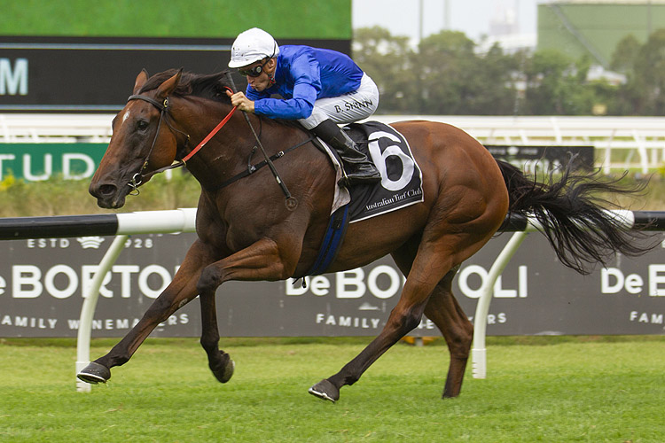 Alizee winning the 2019 Expressway Stakes