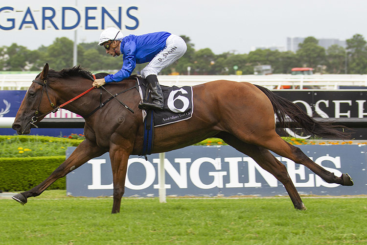 Alizee winning the Expressway Stakes