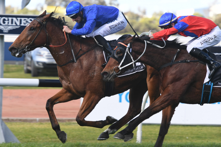 ALIZEE winning the Missile Stakes