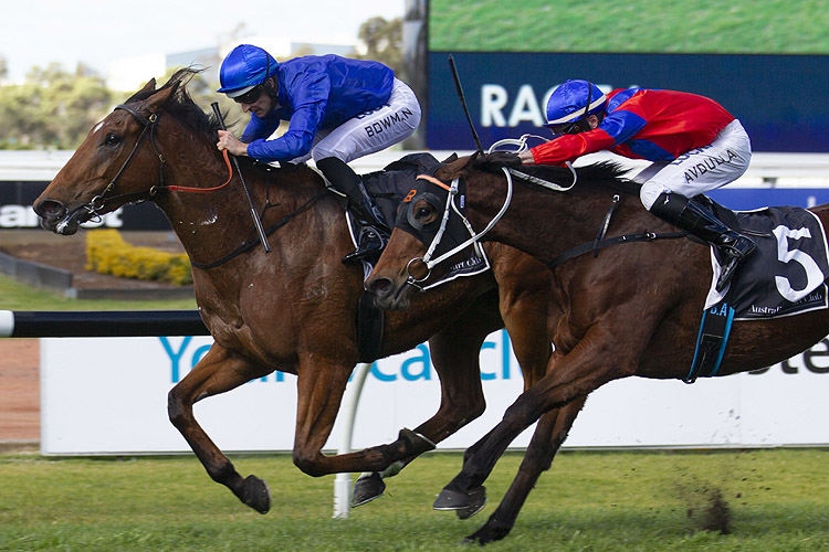 ALIZEE winning the Missile Stakes in 2019.