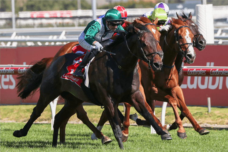 ALL TOO ROYAL winning the Christmas Stakes at Caulfield in Melbourne, Australia.