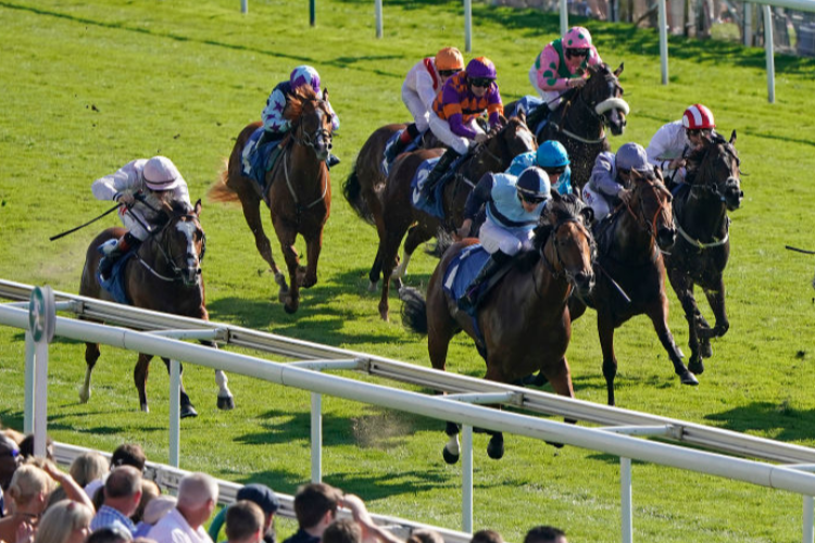 ALLIGATOR ALLEY winning the Julia Graves Roses Stakes (Listed) in York, England.