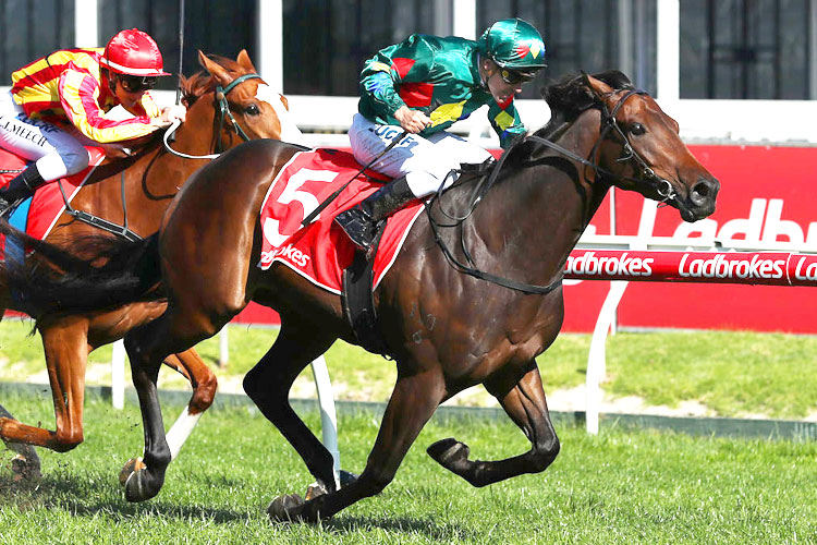 ALLIGATOR BLOOD winning the Caulfield Guineas Prelude-C&G during Underwood Stakes Day at Caulfield in Melbourne, Australia.