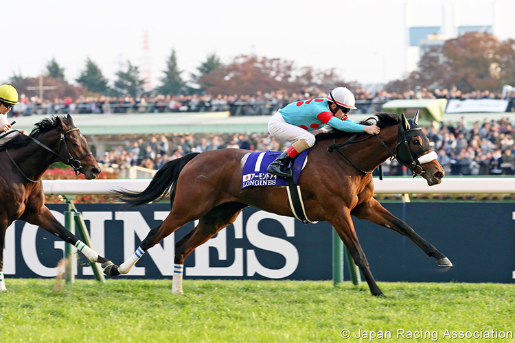 Almond Eye Almond Eye