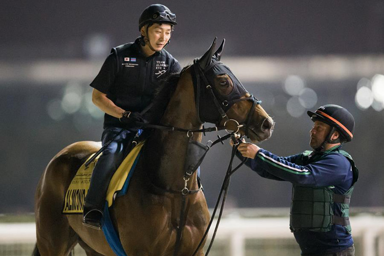 Almond Eye trotted over the Meydan dirt track.