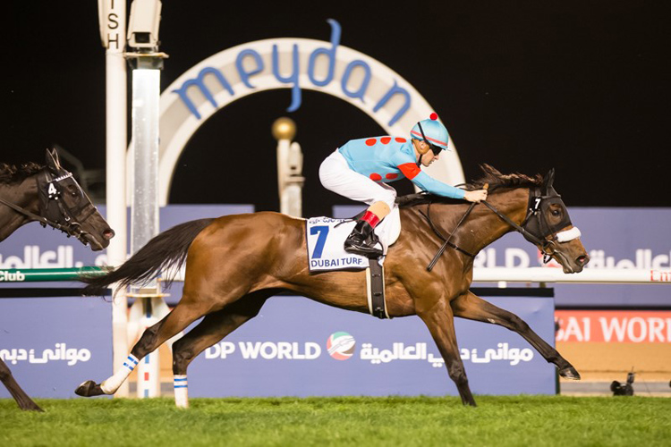 Almond Eye winning Dubai Turf Almond Eye winning Dubai Turf