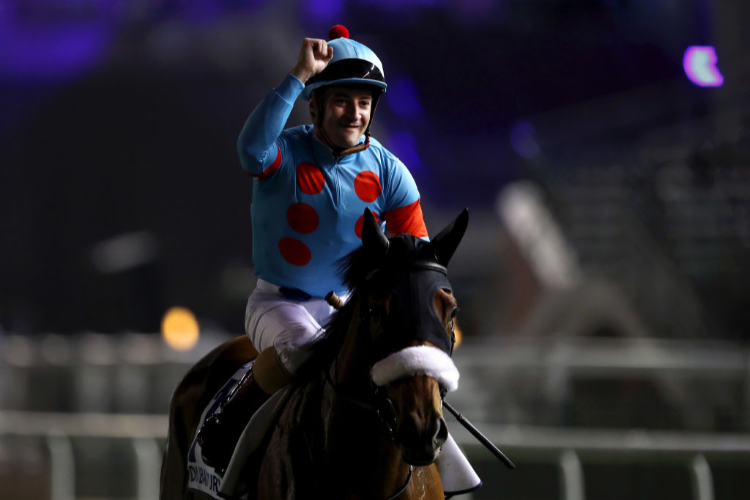 ALMOND EYE after winning the Dubai Turf Sponsored by DP World, race seven of the Dubai World Cup at Meydan in Dubai, United Arab Emirates.