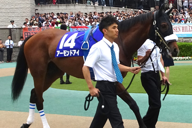 Almond Eye, favourite and third in 2019 Yasuda Kinen