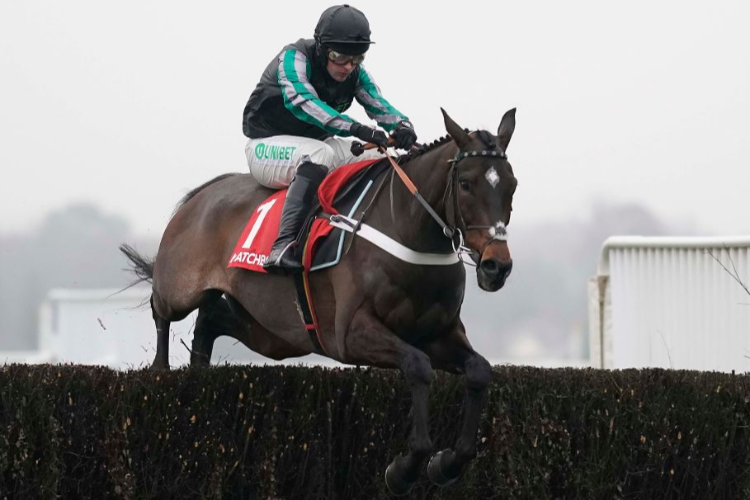 Altior Altior
