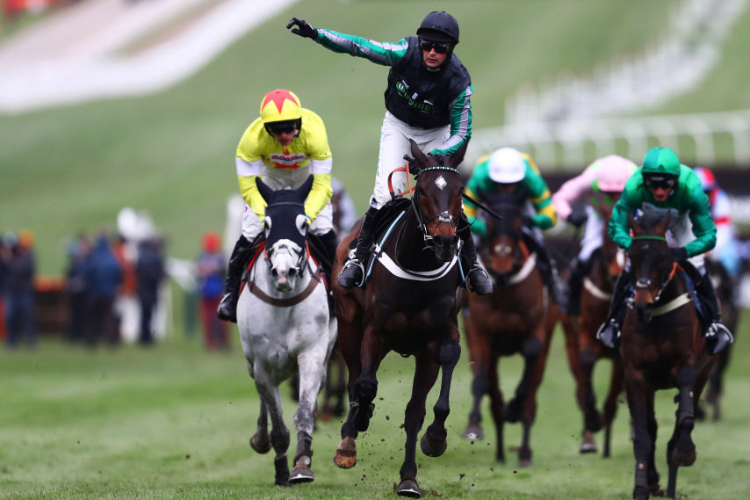 ALTIOR winning the Betway Queen Mother Champion Chase (Grade 1) on Ladies Day of the Cheltenham Festival in Cheltenham, England.