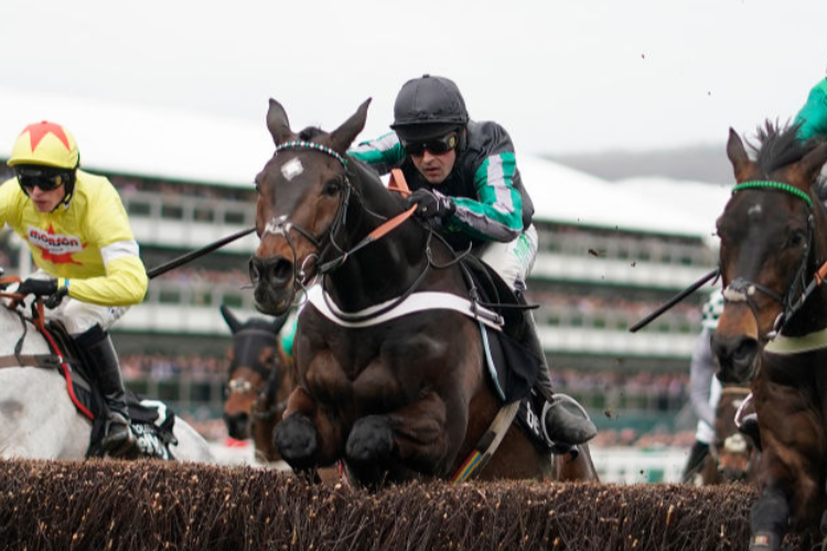 ALTIOR winning the Betway Queen Mother Champion Steeple Chase in Cheltenham, England.