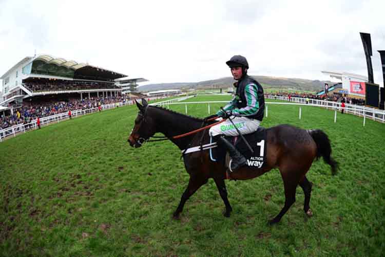 Altior winning the Betway Queen Mother Champion Chase (Grade 1)