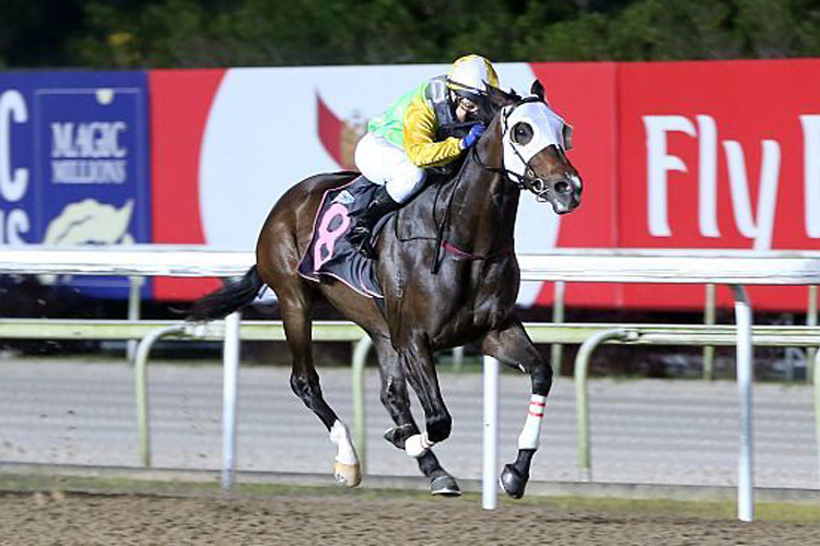 Always Innocent winning the WHAT NOW 2012 STAKES CLASS 4