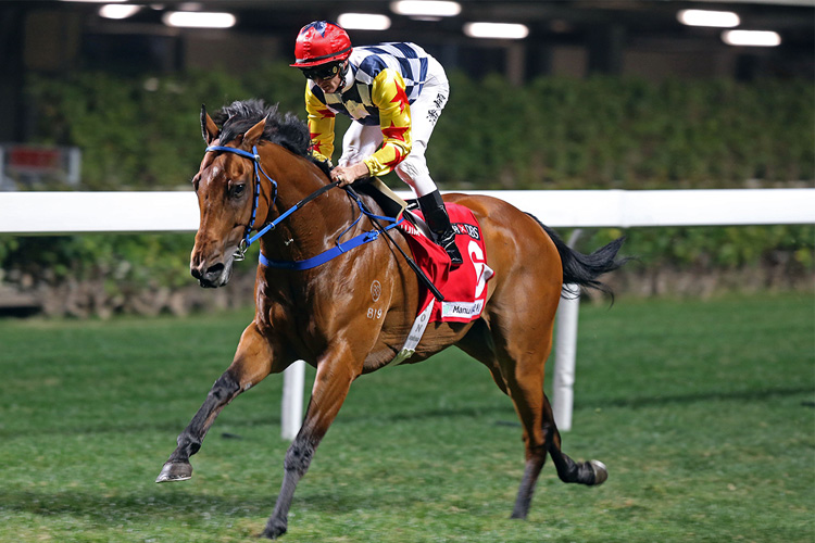 Amazing Star is a top rater at Happy Valley.