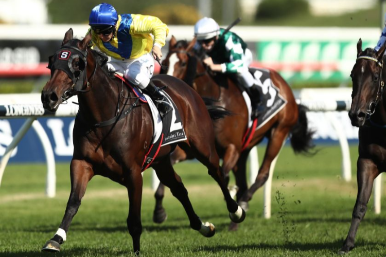 ANAHEED winning the Camera House Percy Sykes during The Championships Day 2 at Royal Randwick in Sydney, Australia.