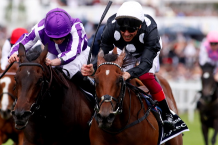 ANAPURNA winning the Investec Oaks.