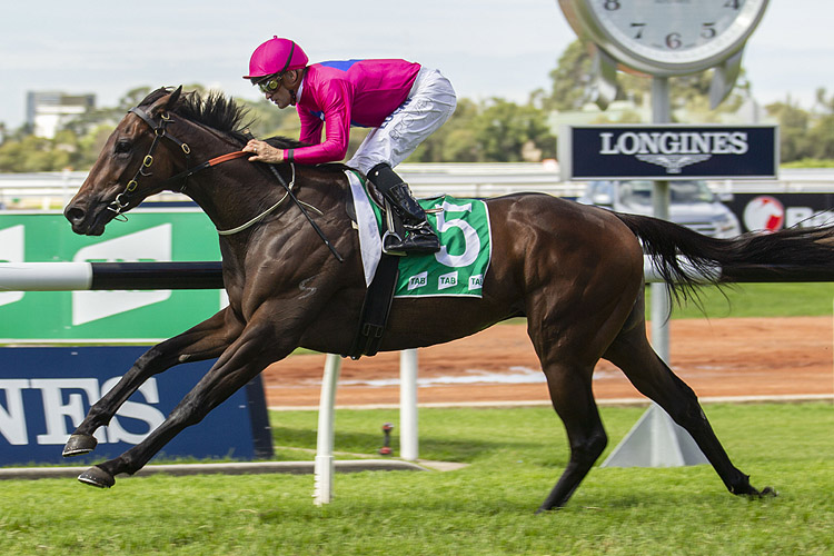 Angel Of Truth winning the Tab Tulloch Stakes
