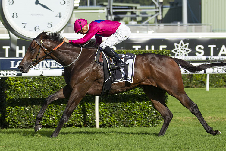 Angel Of Truth winning the Harrolds Australian Derby