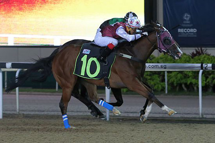 Angel's Choice winning the RESTRICTED MAIDEN
