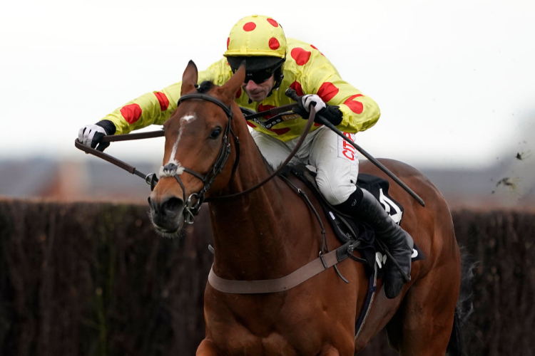 ANOTHER CRICK winning the Betway Chase in Newbury, England.