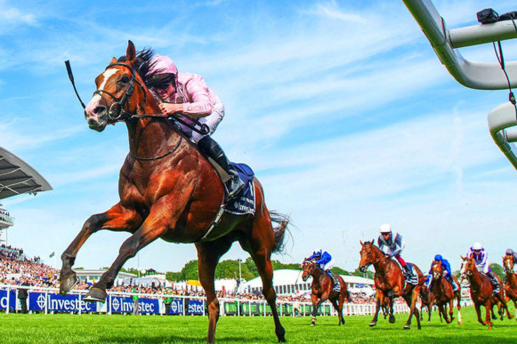 Anthony Van Dyck winning the Investec Derby Stakes (Group 1)
