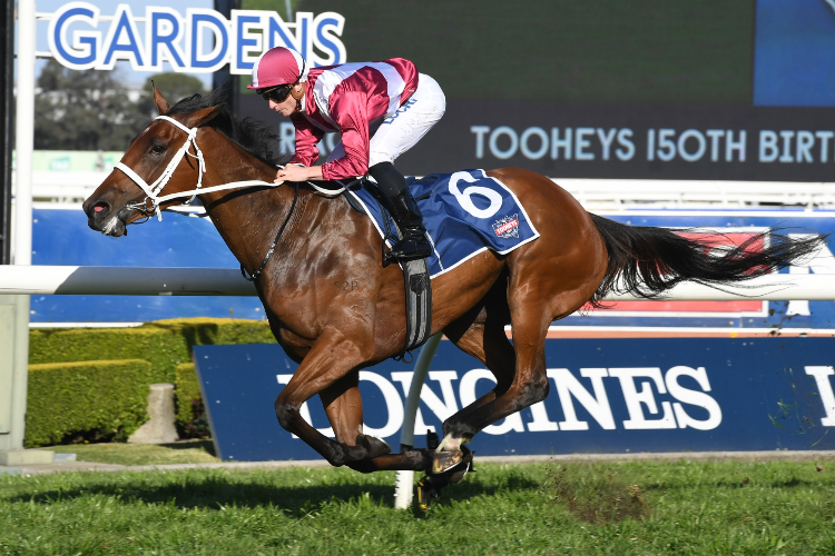 ARCADIA QUEEN winning the Tooheys Theo Marks Stakes