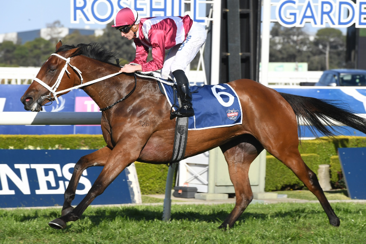 ARCADIA QUEEN winning the Theo Marks Stakes