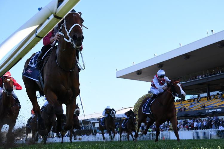 ARCADIA QUEEN winning the Tooheys Theo Marks Stakes