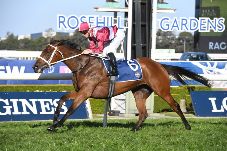 Arcadia Queen winning the Theo Marks