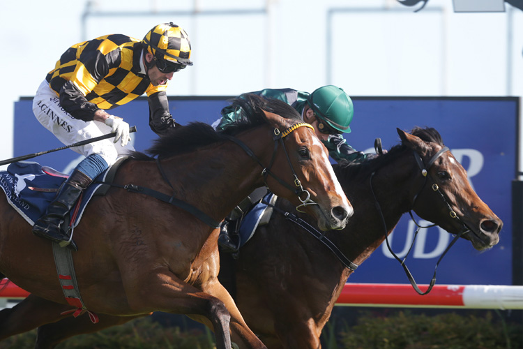 Bavella (outside) is edged out by Aretha in the Gr.3 Gold Trail Stakes (1200m)