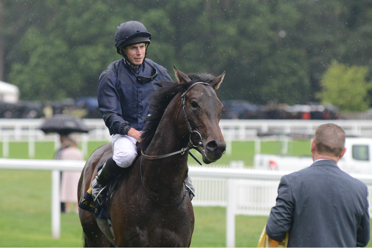 Ryan Moore and Arizona return to scale after winning the G2 Coventry Stakes
