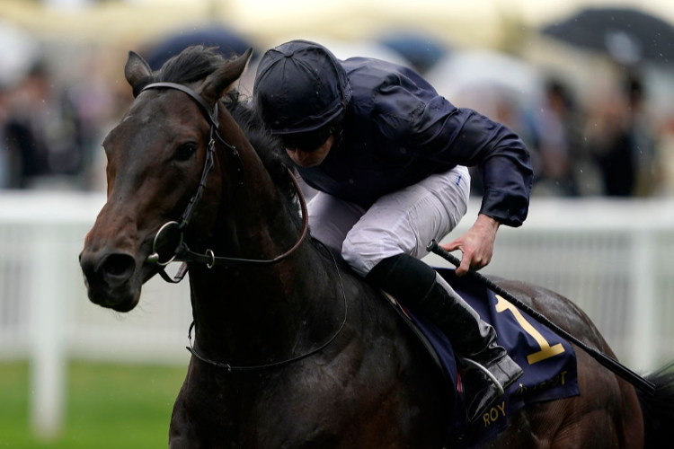 ARIZONA winning the Coventry Stakes on day one of Royal Ascot in Ascot, England.