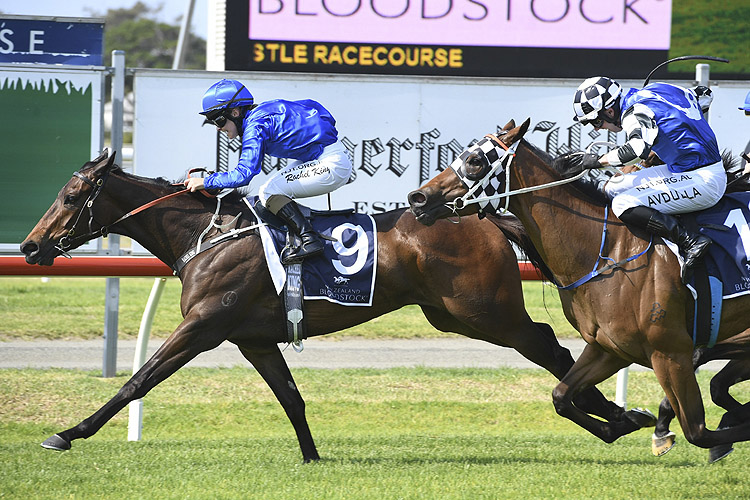 ASIAGO winning the Spring Stks.