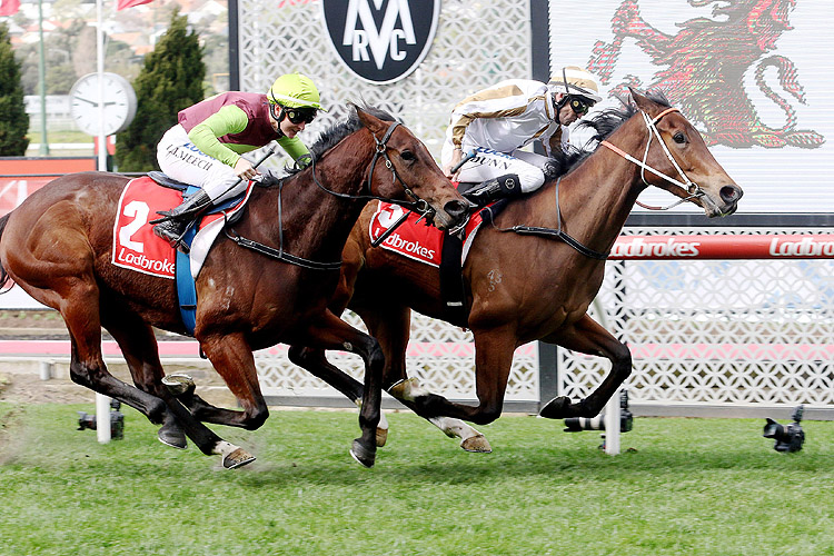 Assertive Approach winning the Seppelt Wines Carlyon Stakes