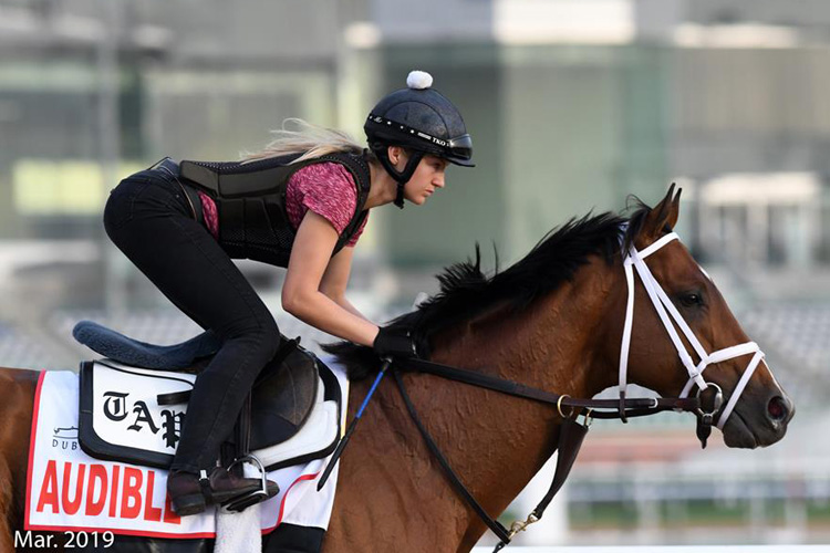 Audible galloped over the Meydan dirt track today.
