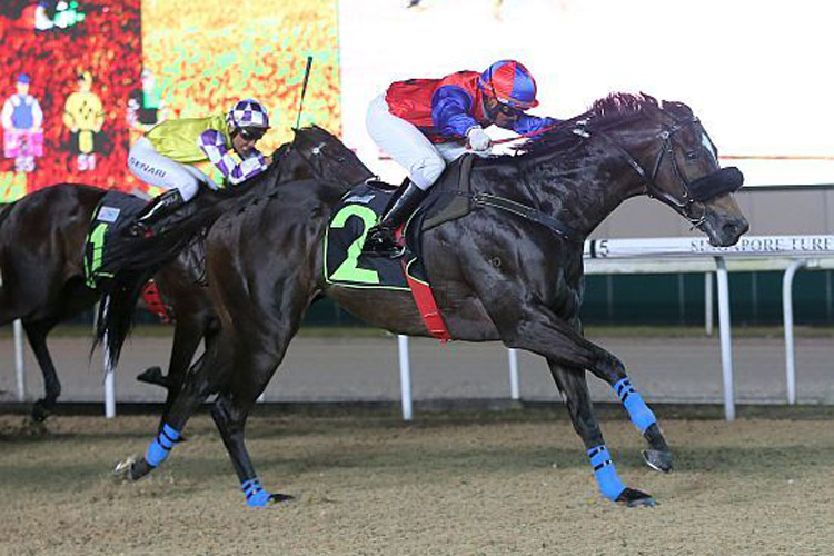 Autumn Rush winning the KRANJI STAKES B Autumn Rush winning the KRANJI STAKES B
