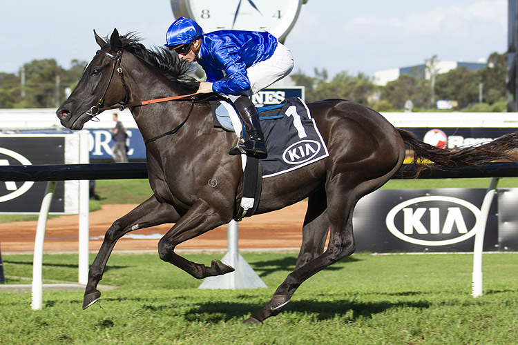 Avilius winning the Kia Tancred Stakes