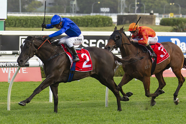 Avilius winning the Colgate Optic White Stakes