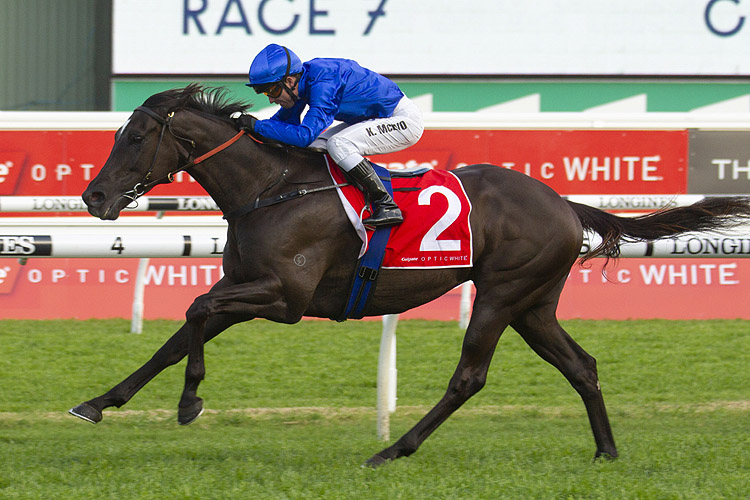 Avilius winning the Colgate Optic White Stakes