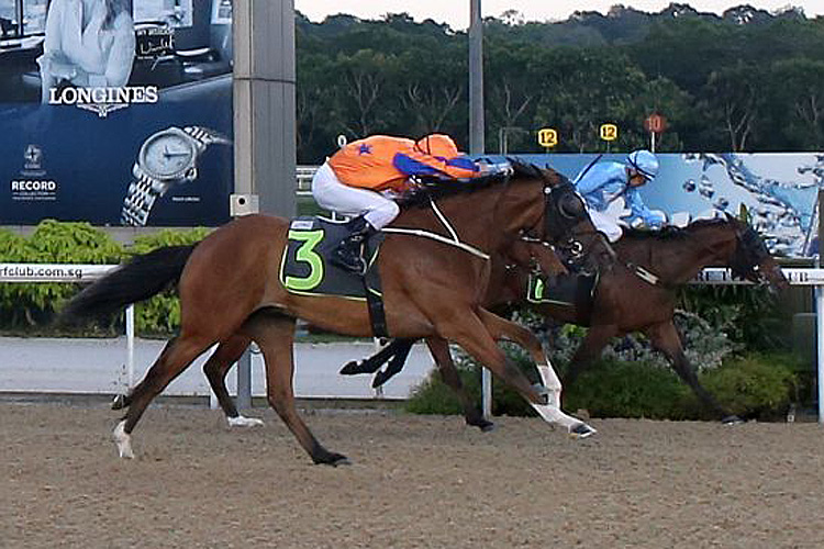 Axel winning the RESTRICTED MAIDEN