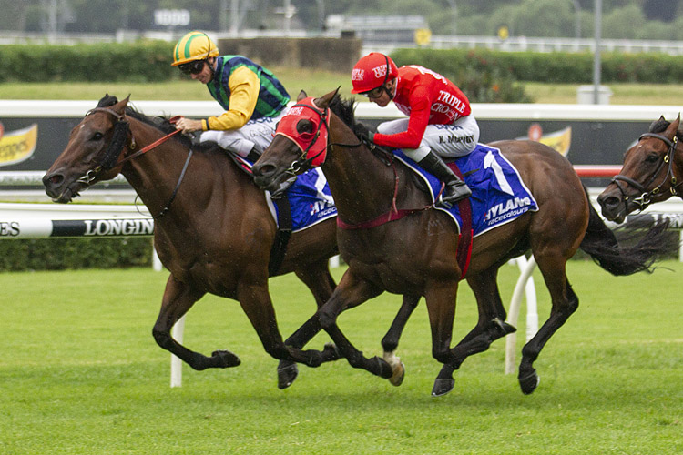 Ball Of Muscle winning the Hyland Colours Challenge Stks