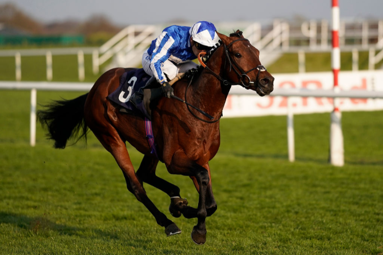 BANGKOK winning the 32Red Casino Maiden Stakes in Doncaster, England.
