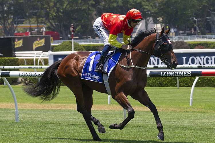 Bartley running in the Hyland Boxing Day Sale Hcp.