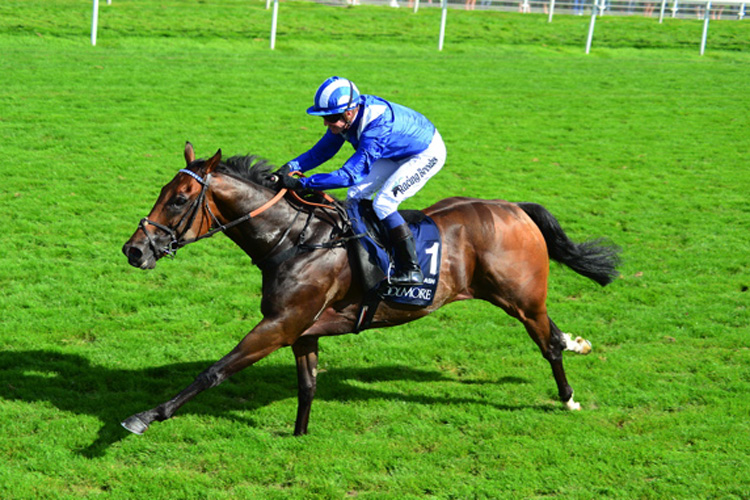 Battaash winning the Coolmore Nunthorpe Stakes (Group 1)