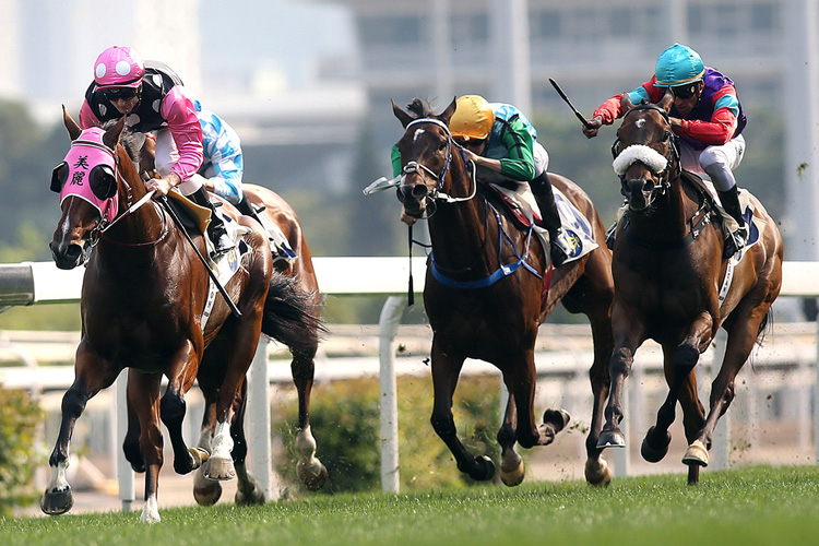 Singapore Sling (blue cap) twice finished second to Beauty Generation last term.
