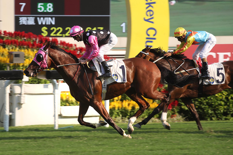 Beauty Generation winning the The Celebration Cup