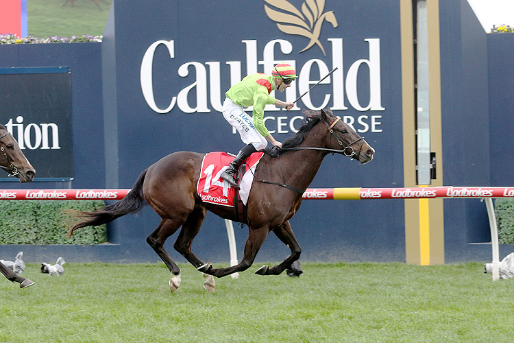 Begood Toya Mother winning the L'brokes Sir Rupert Clarke