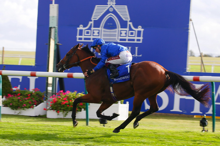 Benbatl winning the Shadwell Joel Stakes (Group 2)